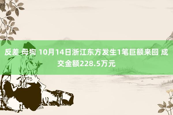 反差 母狗 10月14日浙江东方发生1笔巨额来回 成交金额228.5万元